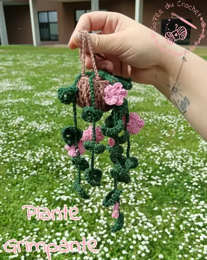 Hanging Vines 🌼